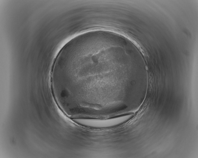 X0000112771535200908271630