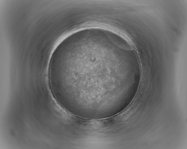 X0000112771536200908271630
