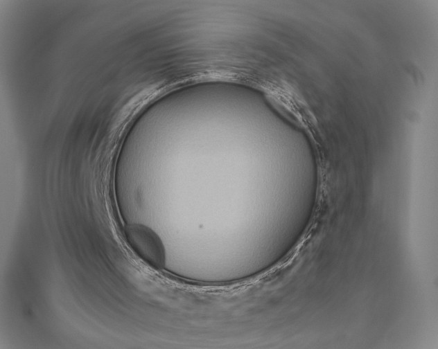 X0000112770001200909031619