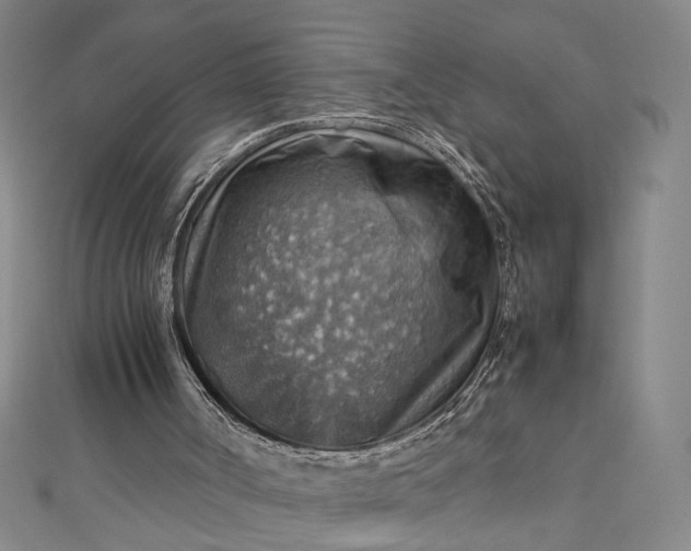 X0000112770002200909031619