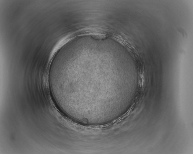 X0000112770004200909031619