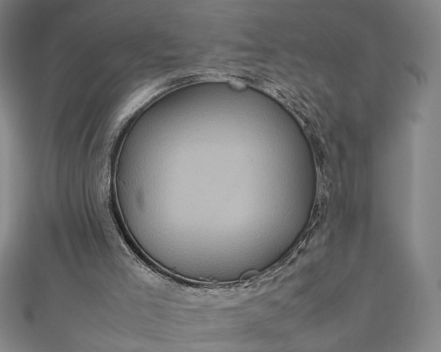 X0000112770005200909031619