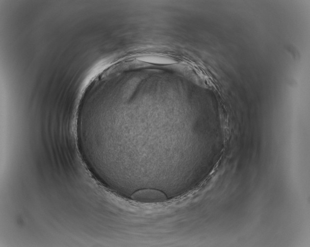 X0000112770006200909031619