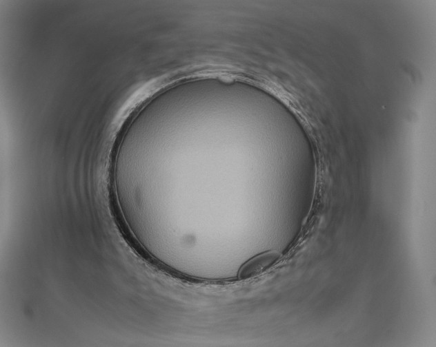 X0000112770007200909031619