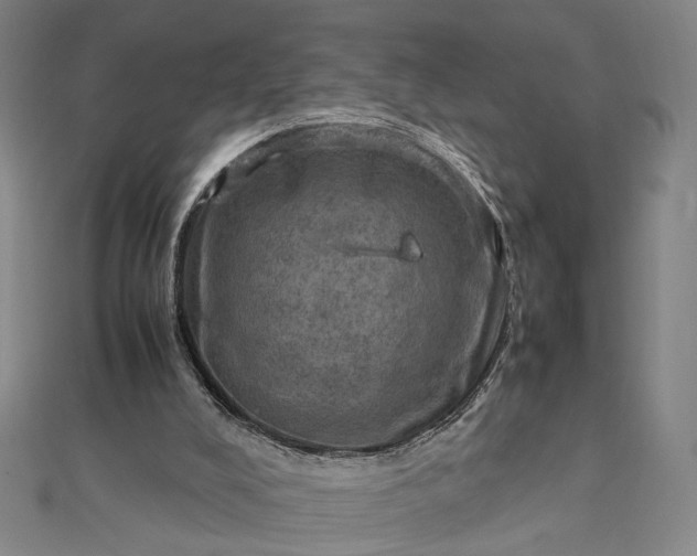 X0000112770008200909031619