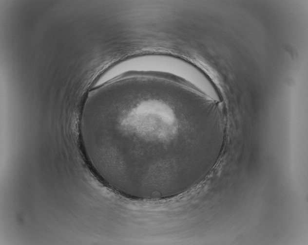 X0000112770009200909031619