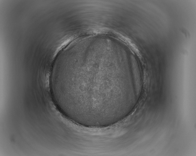 X0000112770010200909031619