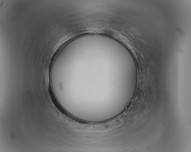 X0000112770011200909031619