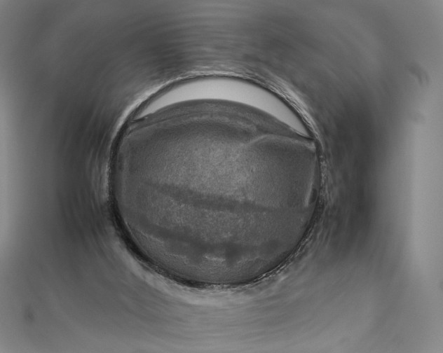 X0000112770012200909031619