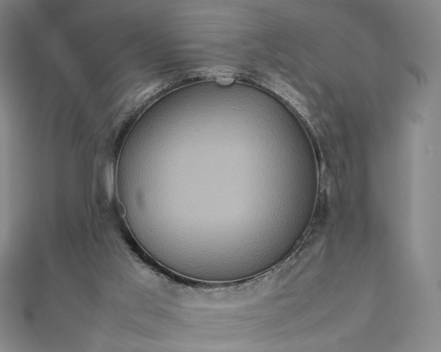 X0000112770013200909031619