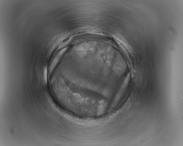 X0000112770014200909031619