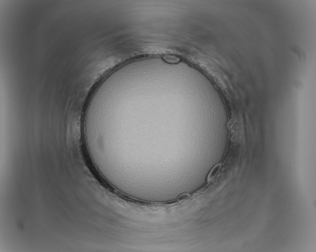 X0000112770015200909031619