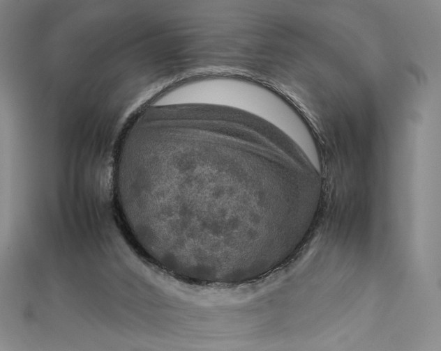 X0000112770016200909031619