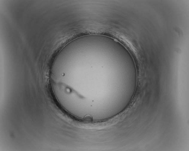 X0000112770017200909031619