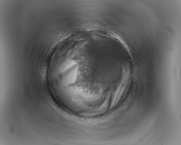 X0000112770018200909031619