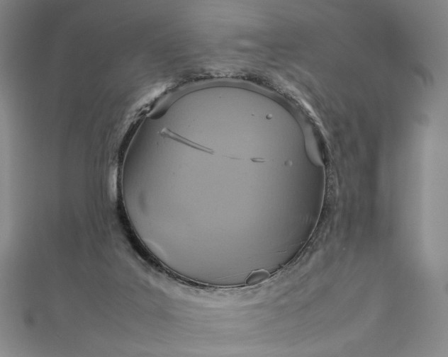 X0000112770019200909031619