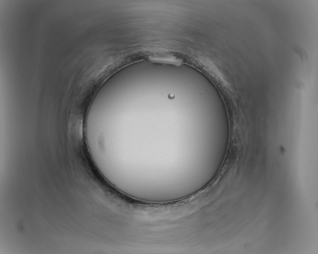 X0000112770021200909031619