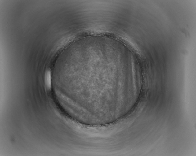 X0000112770022200909031619