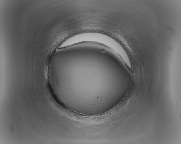 X0000112770023200909031619