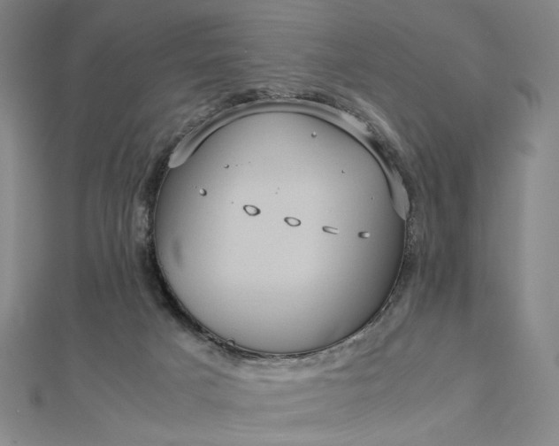 X0000112770025200909031619