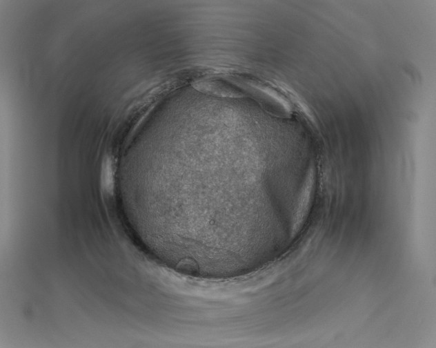 X0000112770026200909031619