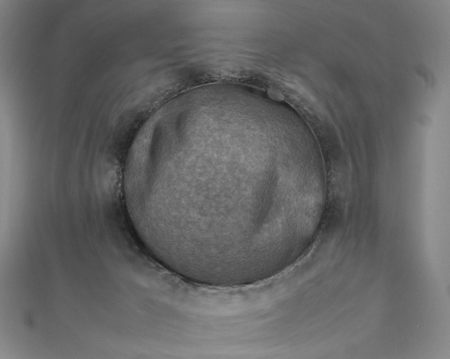 X0000112770029200909031619