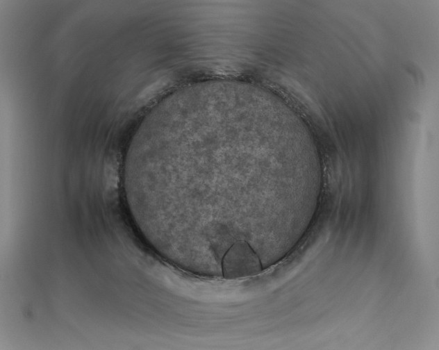 X0000112770032200909031619