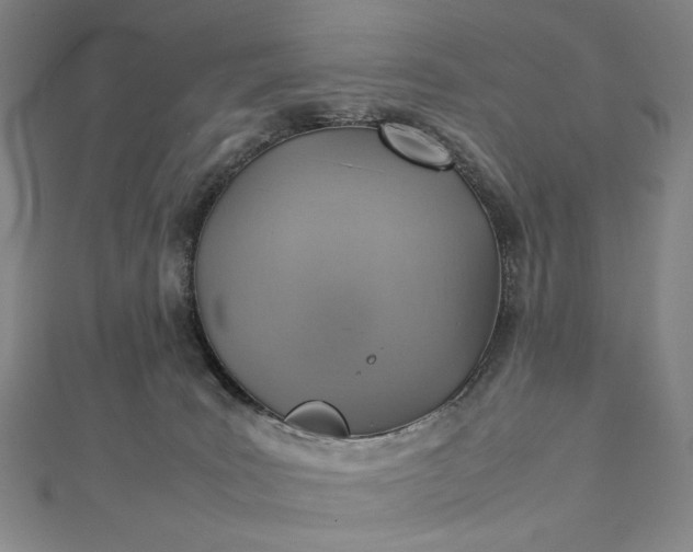 X0000112770035200909031619