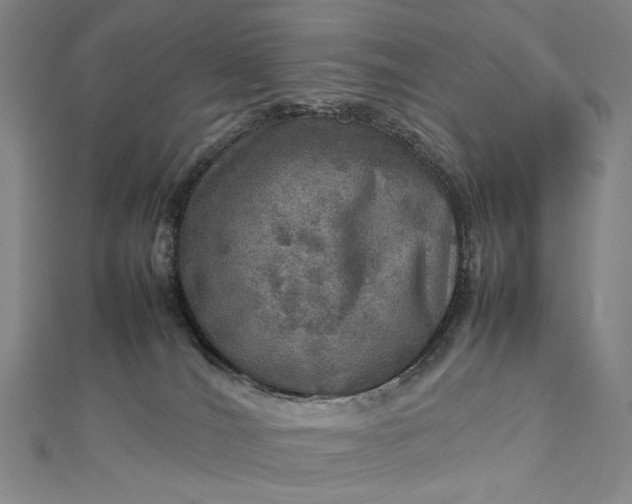 X0000112770036200909031619