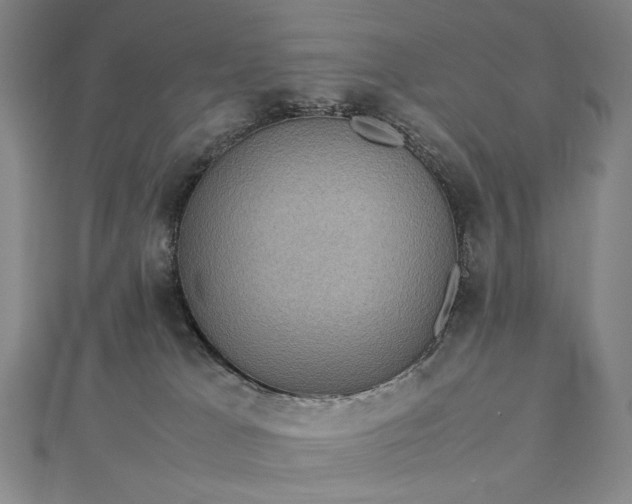 X0000112770037200909031619