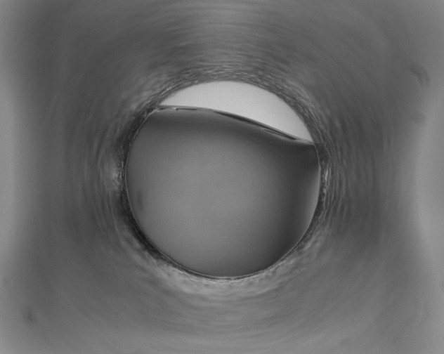 X0000112770039200909031619