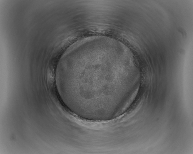 X0000112770040200909031619