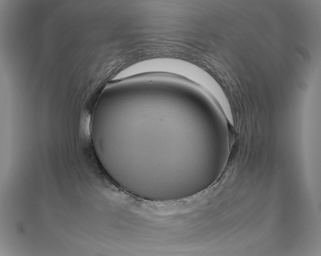 X0000112770041200909031619