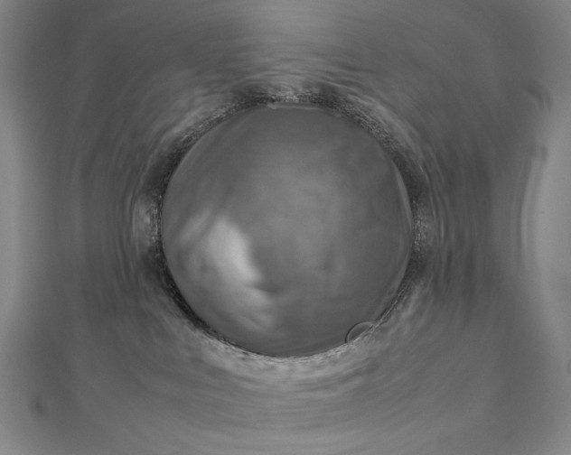 X0000112770043200909031619