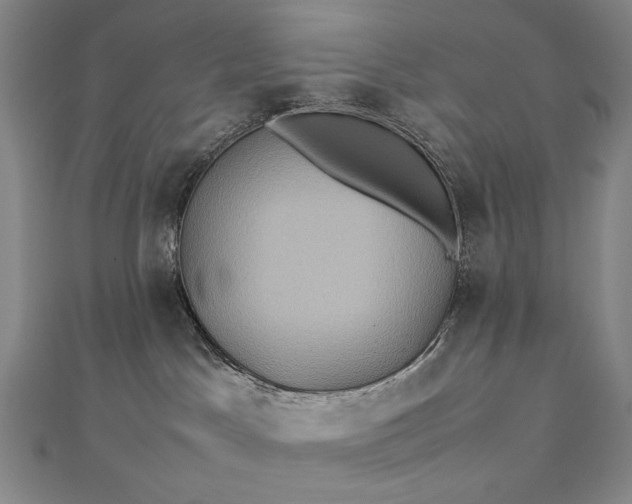 X0000112770045200909031619