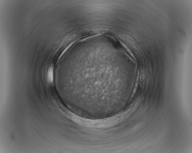 X0000112770046200909031619