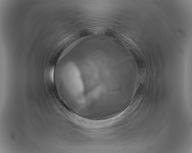 X0000112770047200909031619