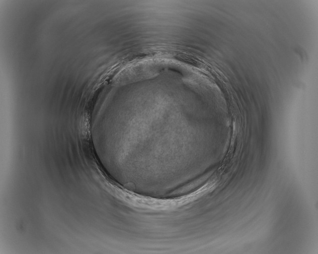 X0000112770048200909031619