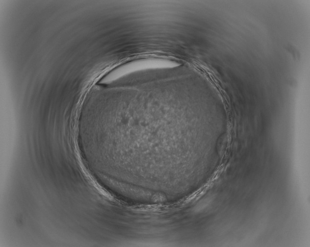 X0000112770049200909031618