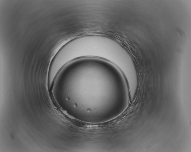 X0000112770052200909031618