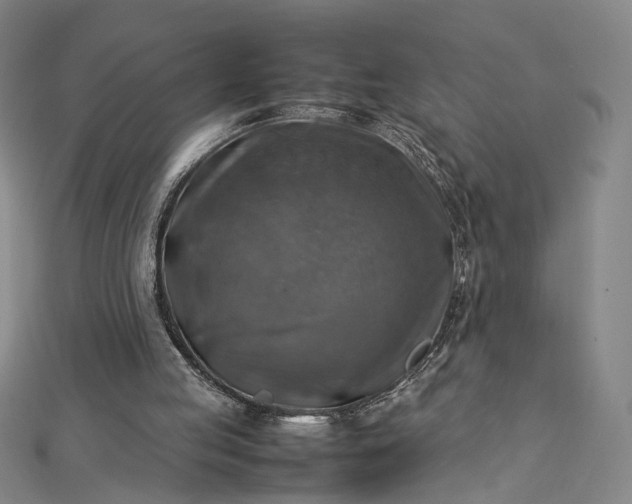 X0000112770053200909031618