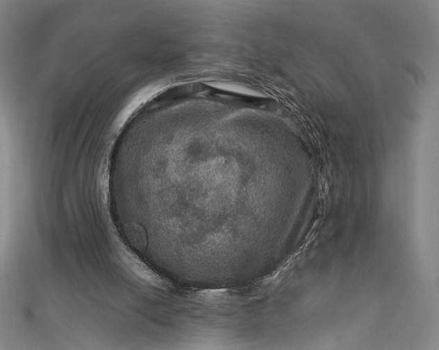 X0000112770054200909031618