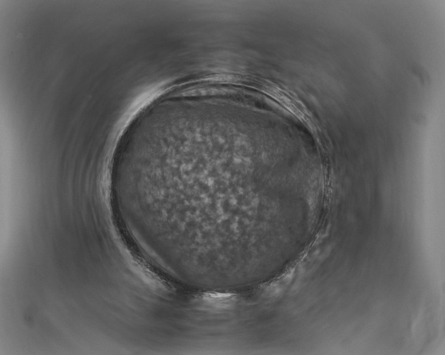 X0000112770055200909031618