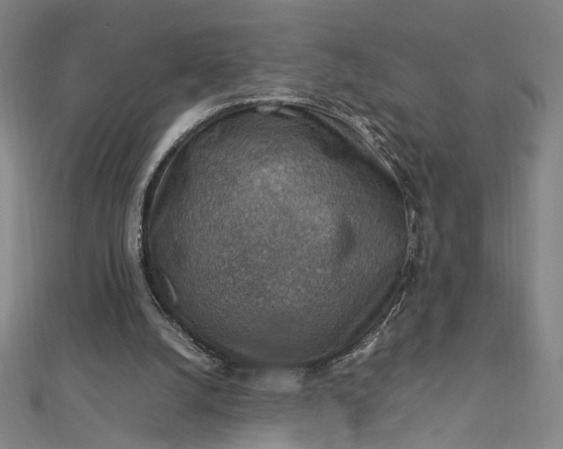 X0000112770056200909031618