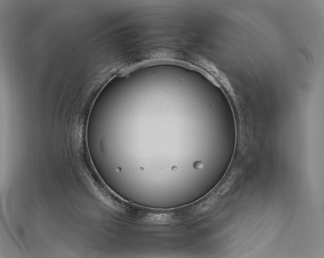 X0000112770057200909031618