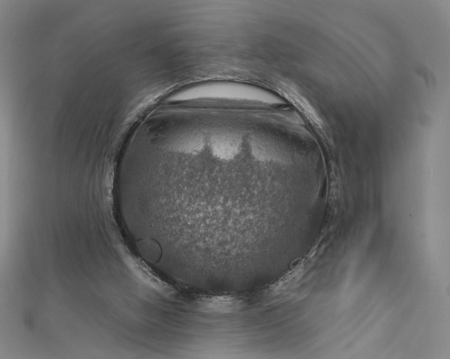 X0000112770058200909031618