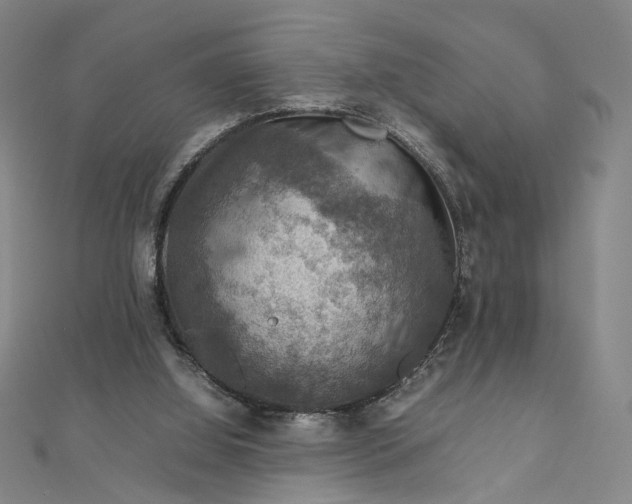 X0000112770060200909031618