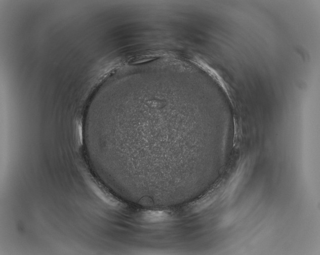 X0000112770061200909031618