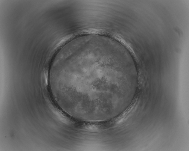 X0000112770062200909031618