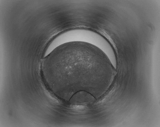 X0000112770063200909031618